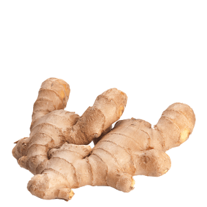 Ginger PNG-16778